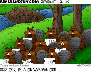 christian beavers