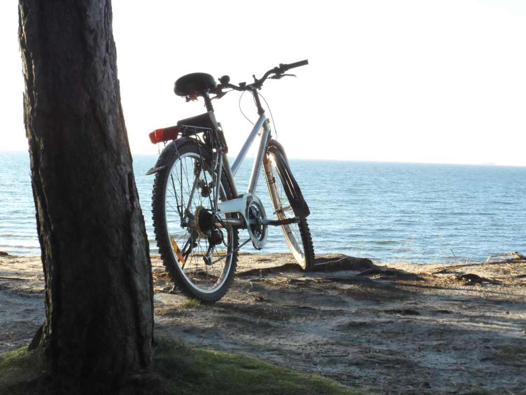 rower na wydmie